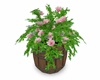 C- Flowers Barrels