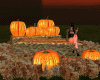 pumpkins animated (go)