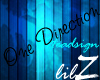 'LilZ' One Direction