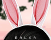 ♛ Sexy Bunny Ears.