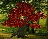 Romantic RedFlaming Tree