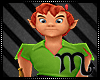 Peter Pan Costume