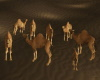Group Of Camels