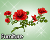 :P 3 Rose Bushes RED