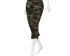 Seci Jorts