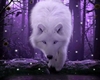 Wolf Purple Bar