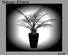 Silver Plant
