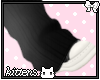 converse warmers