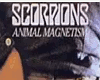Scorpions - Zoo