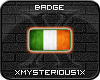 [X] Irish Flag Badge