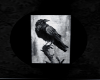NeverMore Rug
