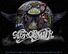 AEROSMITH TSHIRT 2