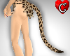 BettysLeopard Tail M+F