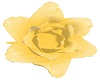 MY Yellow Rose