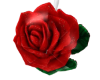 Red rose umbrella unisex