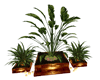 potted plants