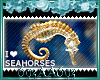I Love Seahorses