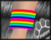 [Pup] Rainbow Bracelet