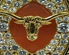 Texas Longhorns Ring