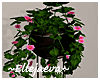 Plant Stand Vase Plants