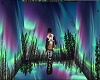 Aurora Skies