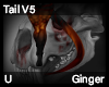 Ginger Tail V5