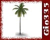 [Gio]Palm Tree 1