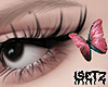 Butterfly Coachella lll