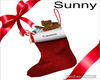 *SW*Cassie XMas Stocking