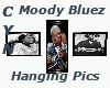 Moody Blues Pics