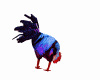 M~Rooster
