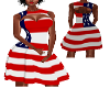 FG~ USA Flag Dress