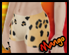-DM- Leopard Shorts M