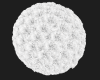 TX White Flowers Ball