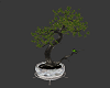 Potted Tree/Birds