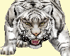 White tiger animated