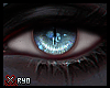 ✘Elbaudi