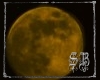 SB Raindora Moon Photo