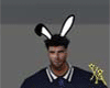 Chr Bunny Ears Anim 🐰