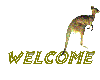 welcome kangaroo