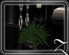 ~Z~Desire Small Planter