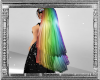 W|Rainbow Wedding Veil