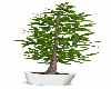 Potted Tree v2