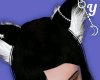 Ears Cats
