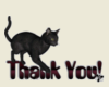 Thank you Kitties