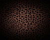 Leopard teal lounge