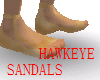 HAWKEYE SANDALS