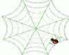 Creepy Spider Web