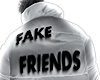 .Fake Friends