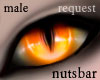 n: samu cat orange /M
